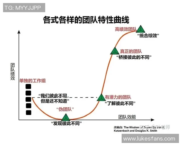 成都足球队杯赛中的团队协作表现分析与评价探讨